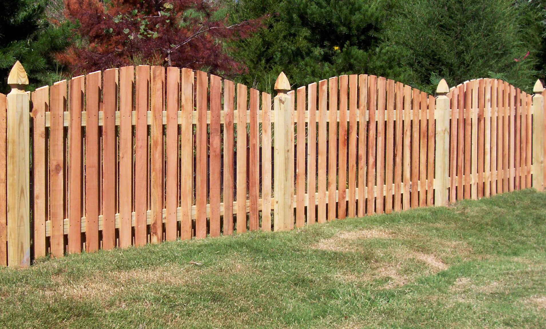 Wood Fence Designs